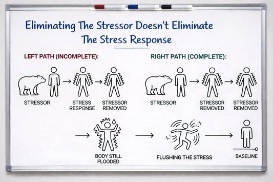 Your ADHD Brain Doesn’t Forget Stress — It Stockpiles It